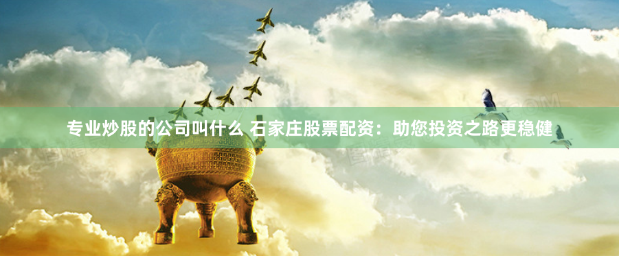 专业炒股的公司叫什么 石家庄股票配资：助您投资之路更稳健