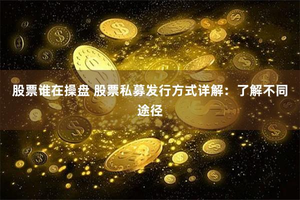 股票谁在操盘 股票私募发行方式详解：了解不同途径